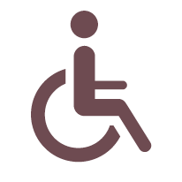 HanaGroup_Icons_Disability