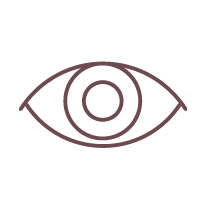 HanaGroup_Icons_Vision