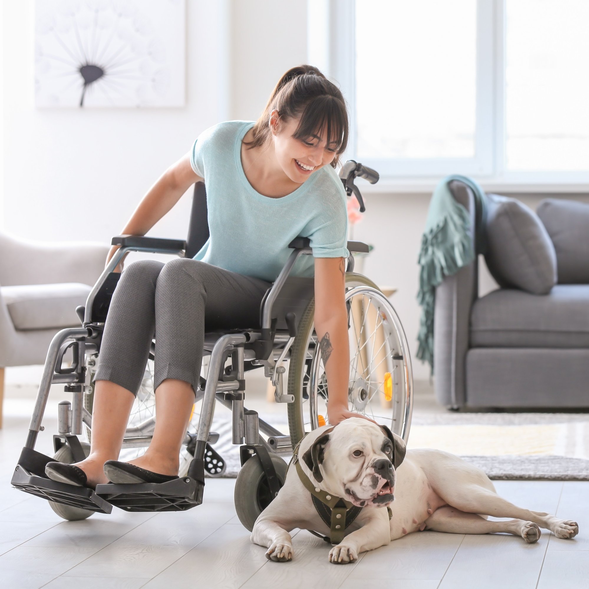 shutterstock_1194180496