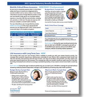 WD 2021 VB Summary Flyer Cover Snapshot