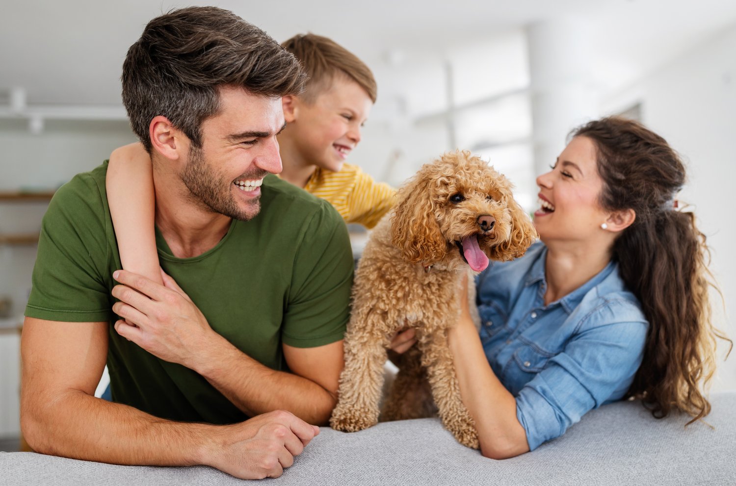 shutterstock_1926693476 (1)