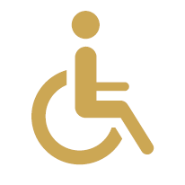 Kesser Icons_Disability