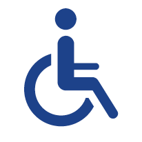 Aludyne_Icons_Disability