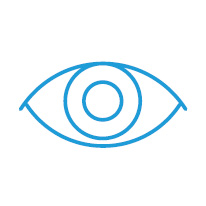 Anson Icon Vision