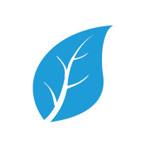 Anson Icon Wellness