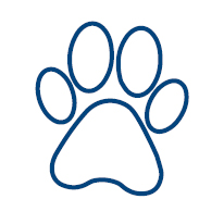 Baptist_Pet