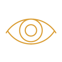 Diocese_Vision