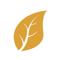Diocese_Wellness