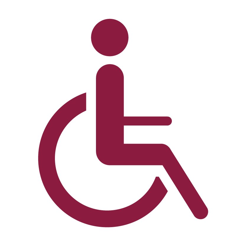 Disability Icon-01