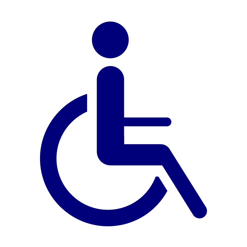 Disability Icon-01