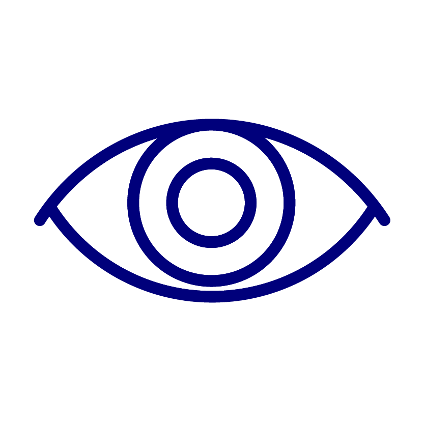Vision Icon-01