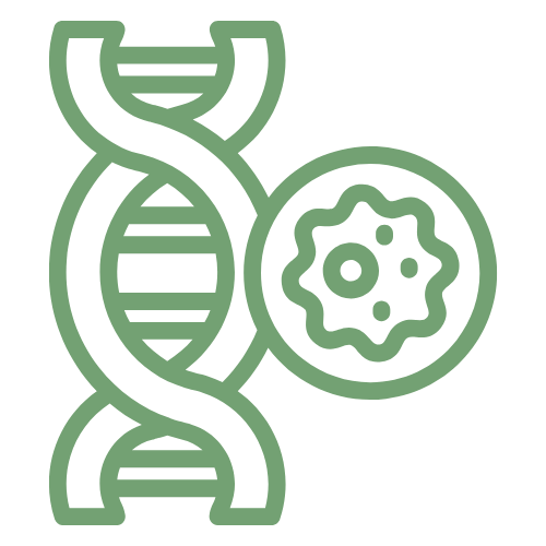 Evergreen Icon DNA