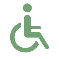 Evergreen Icons8