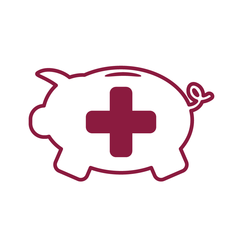 HSA Icon-01