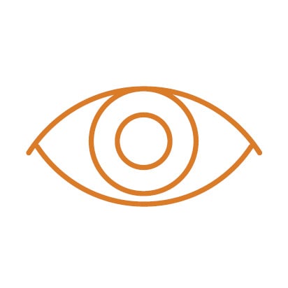 HCS_Icons_Vision