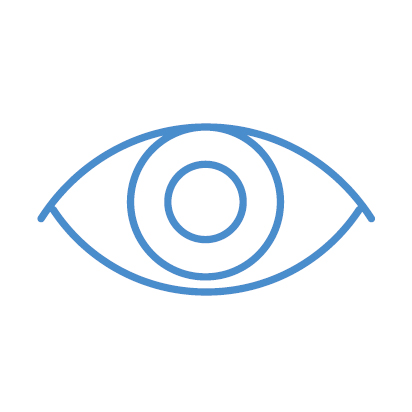 KSB Icons Vision