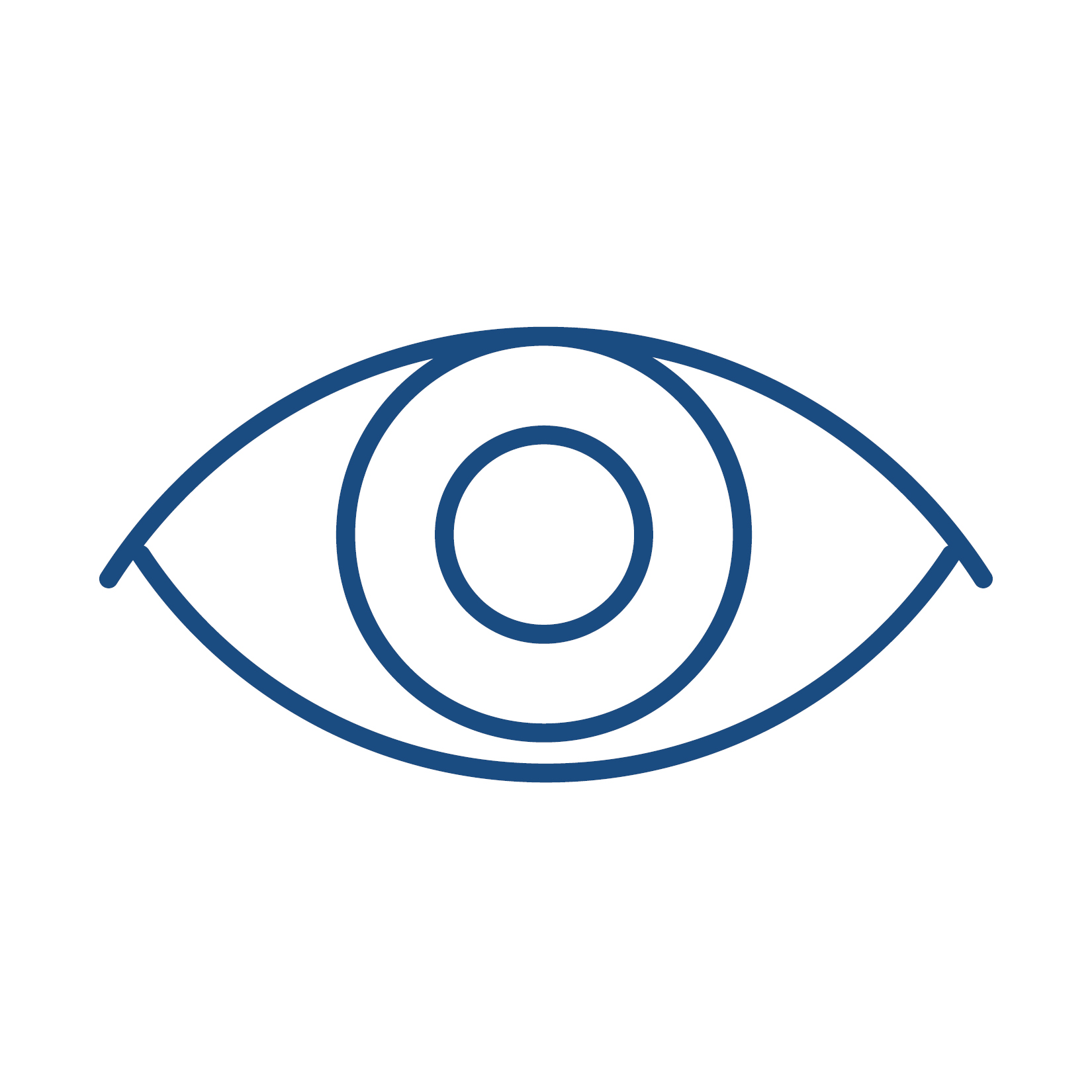 Napleton_Icons_Vision