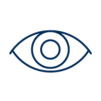 Napleton_Icons_Navy6