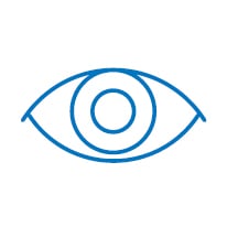 Premier_Vision