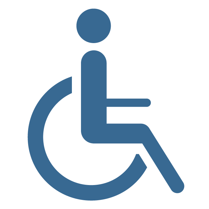 Silver Birch Icon - Disability-02-01