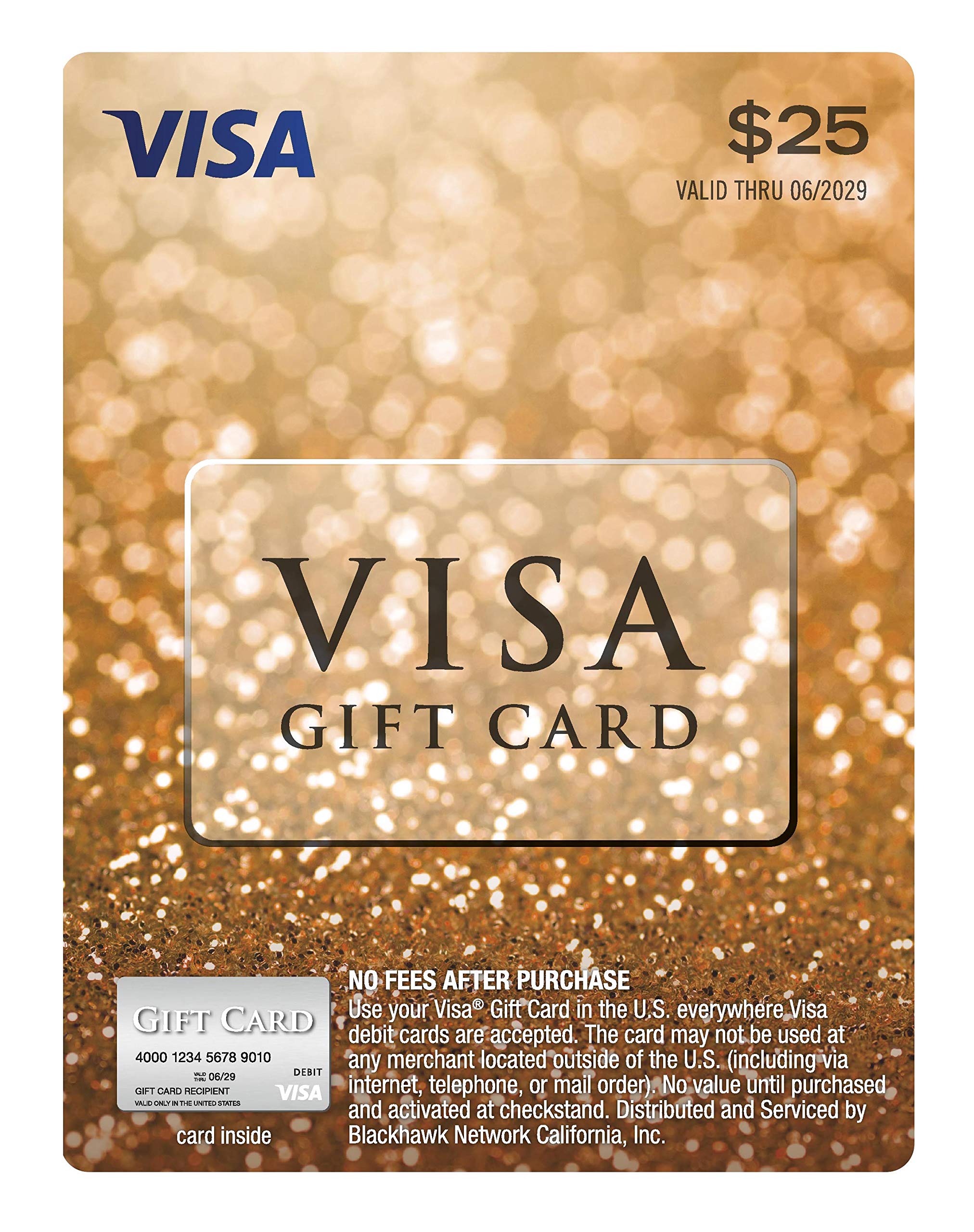 Visa $25 Gift Card