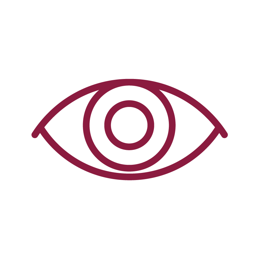 Vision Icon-01-02-01